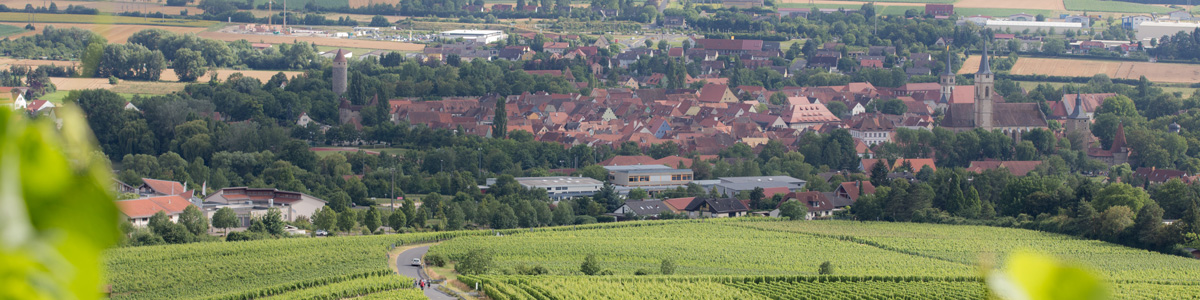 Stadtblick über die Weinberge und Schulzentrum